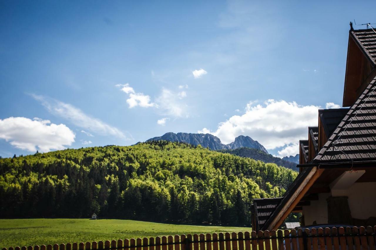 Willa Mnich Zakopane Kültér fotó